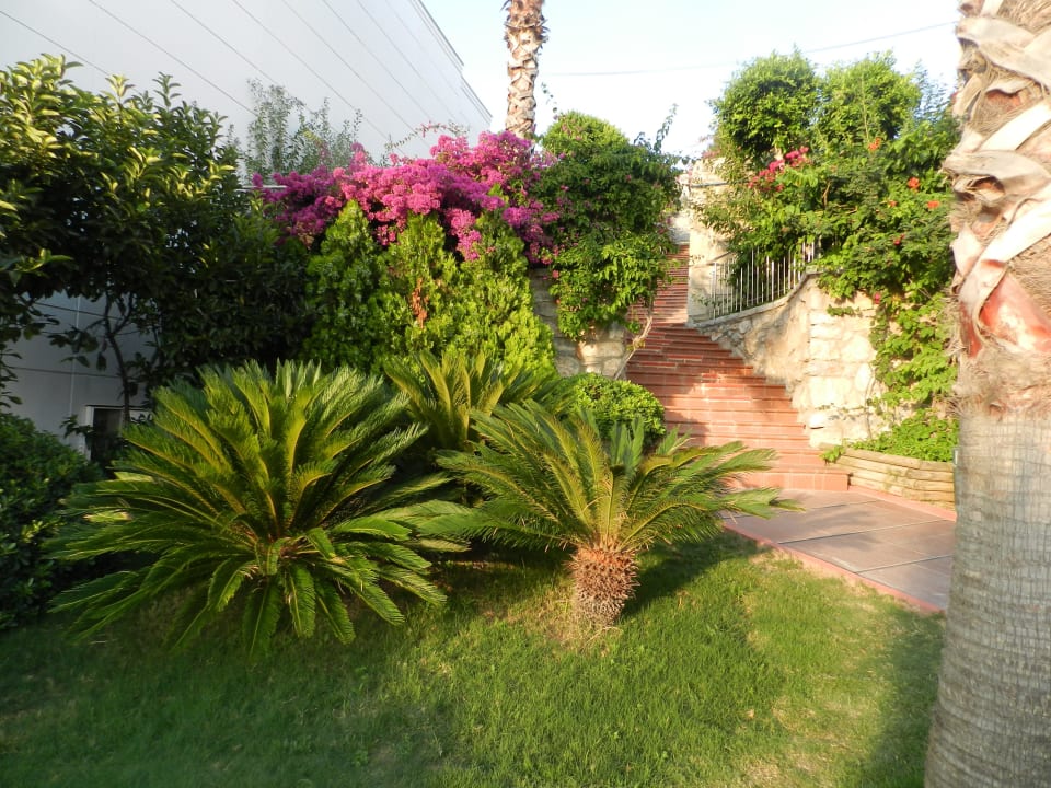 Ogrod Delta Hotels By Marriott Bodrum