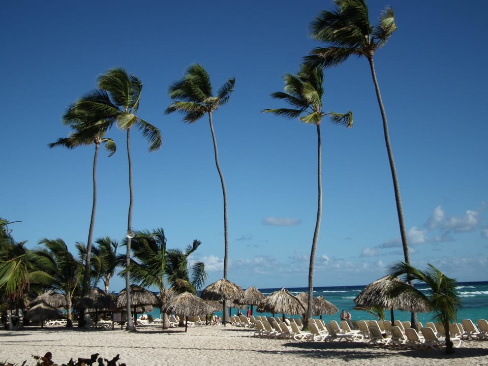 Strandbereich für alle Gäste Majestic Elegance Punta Cana