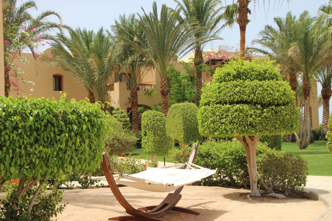 Nice  Steigenberger Coraya Beach - Adults only