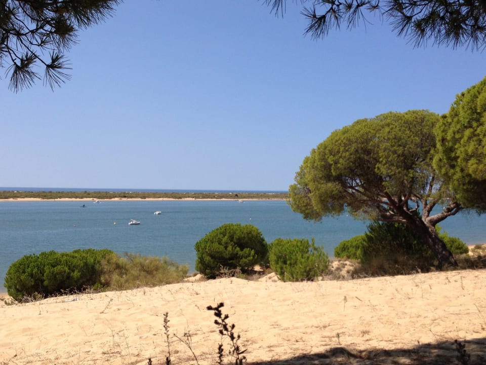 J Playacartaya Hotel