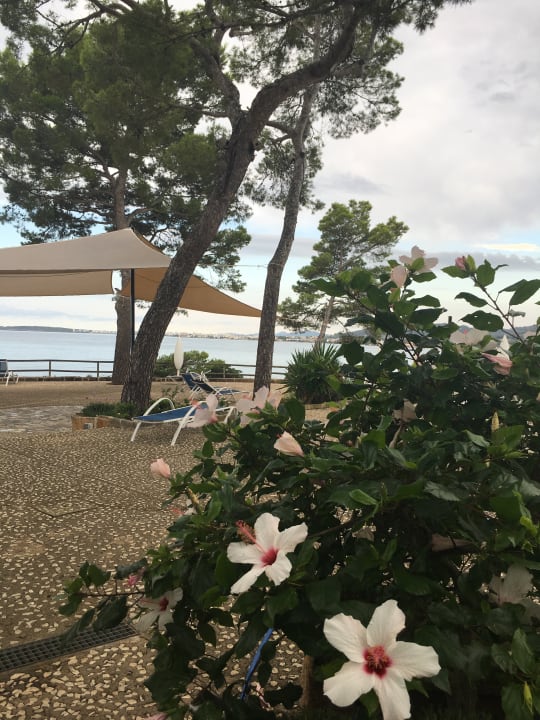 Gartenanlage Hipotels Eurotel Punta Rotja Golf & Spa