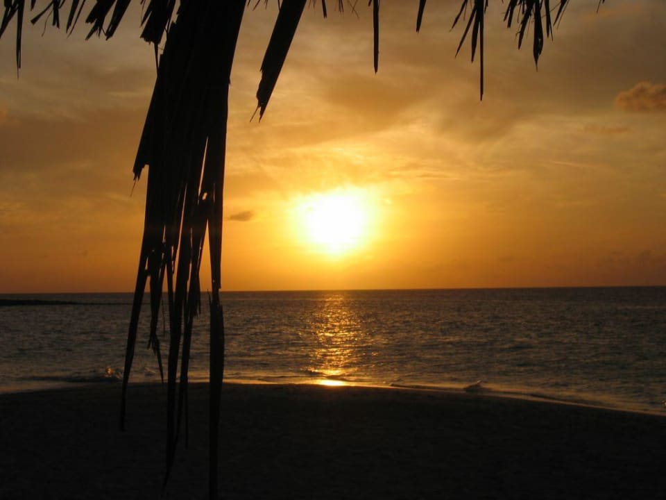 Sonnenaufgang Vilamendhoo Island Resort & Spa