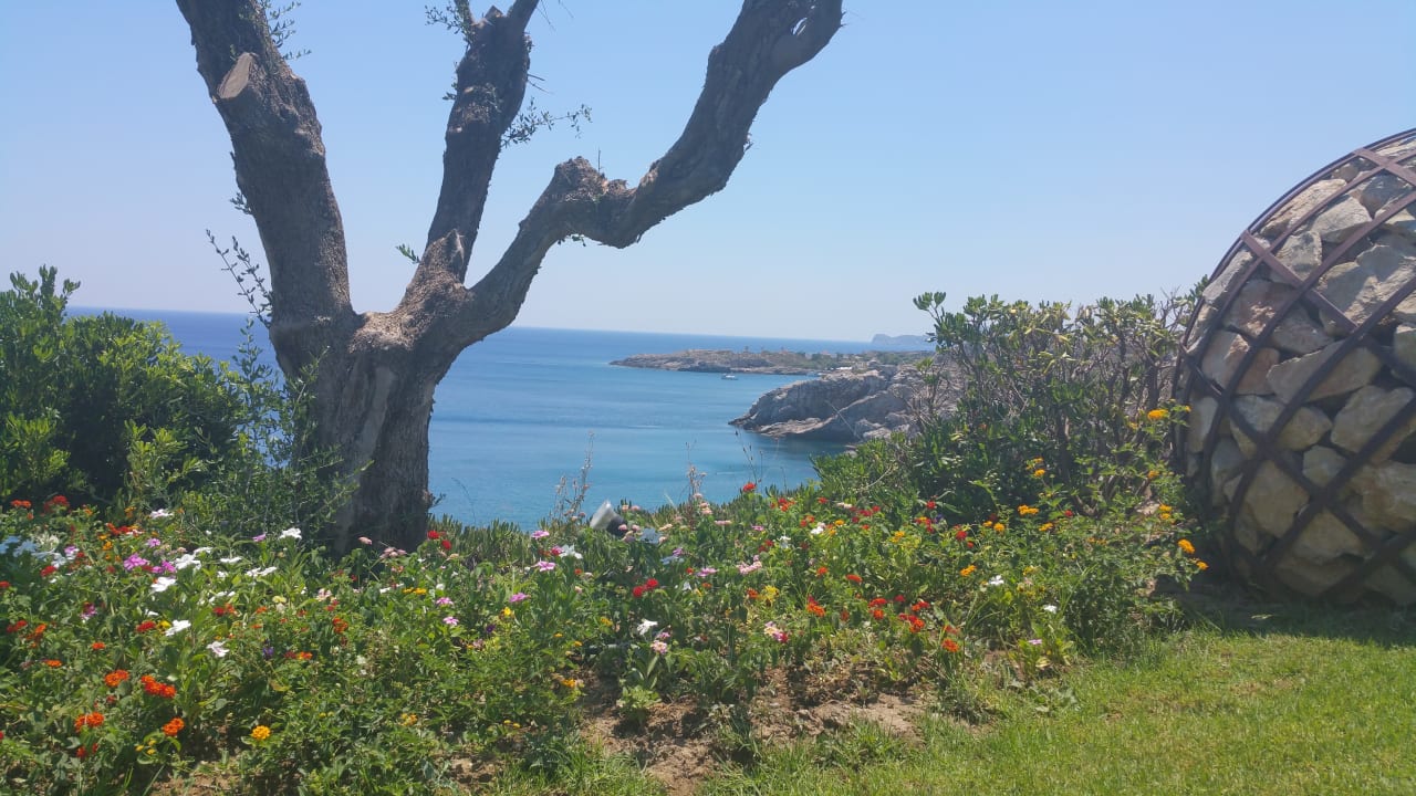 Ausblick Hotel Kalithea Horizon Royal