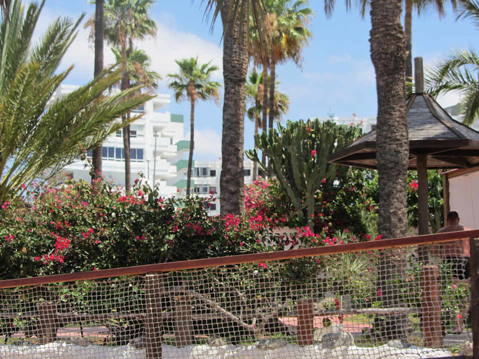 Ansicht von Poolbar HL Miraflor Suites Hotel