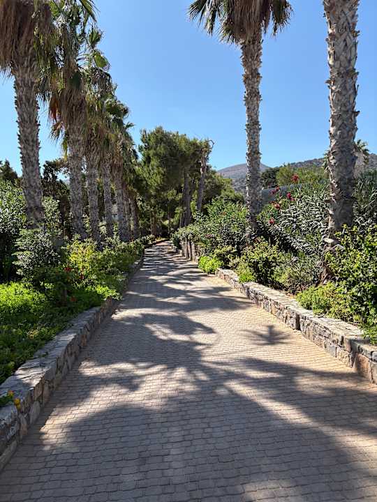 Gartenanlage Ikaros Beach Luxury Resort & Spa - Adults Only