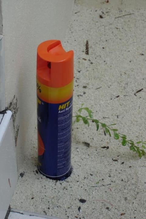 Ratten und Kakerlaken im Bad Meeru Maldives Resort Island