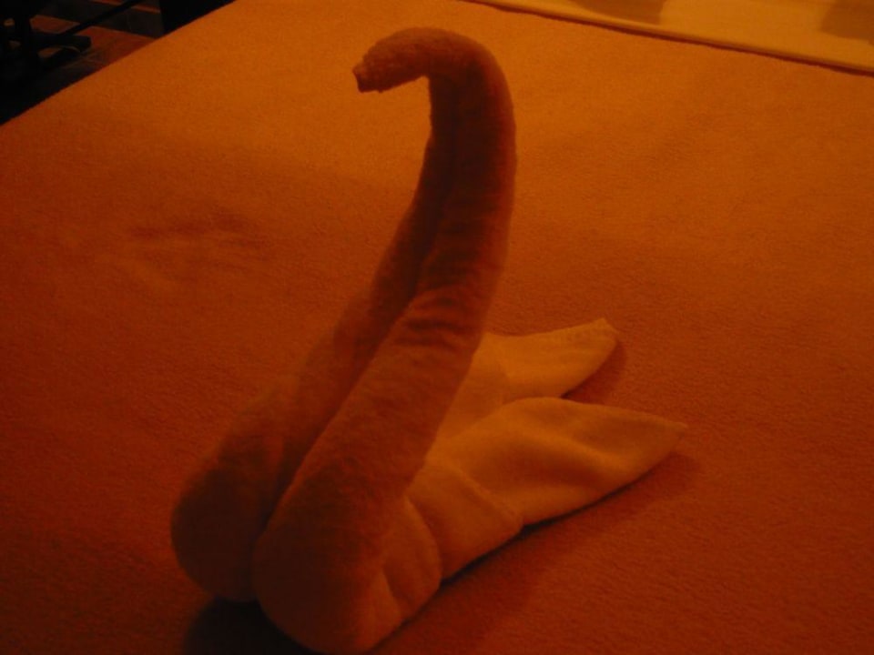 Łabędź z ręcznika Sunny Days Palma De Mirette Resort & Spa