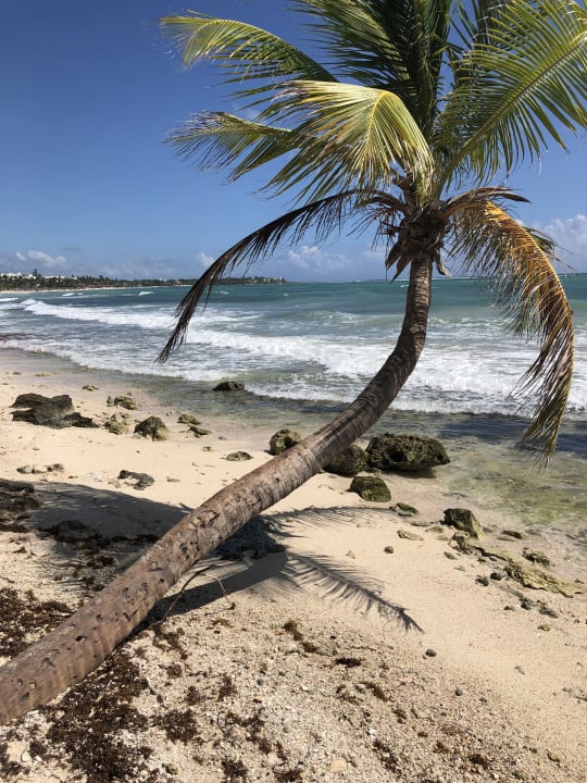 Strand Akumal Bay Beach & Wellness Resort