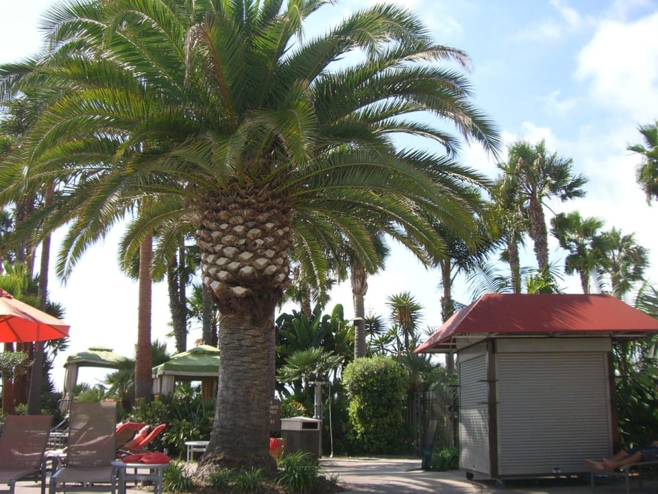 Poolanlage San Diego Mission Bay Resort