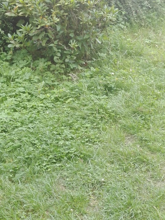 Garten Ferienzentrum Schloss Dankern