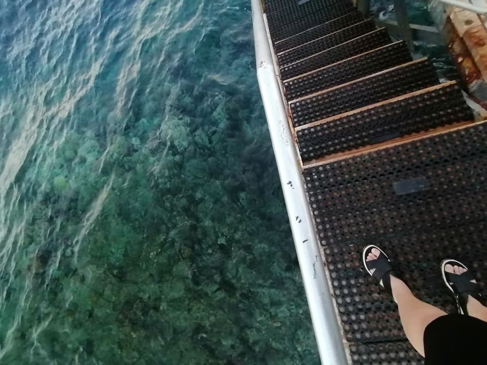 Ausblick Serenity Alpha Beach