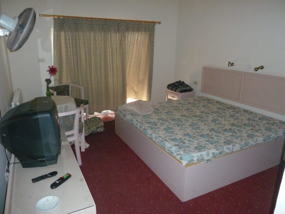 Zimmer 212 Hotel Olive Branch