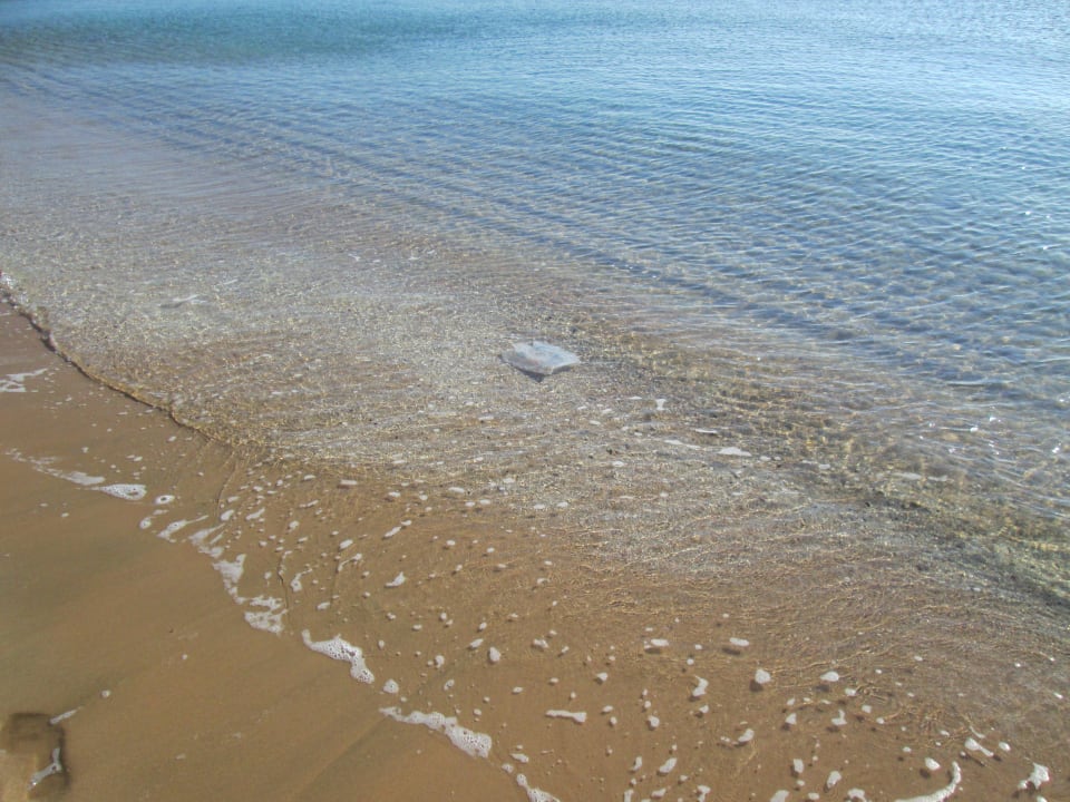 Müll im Wasser (leider) Shams Prestige Abu Soma-Adults Only