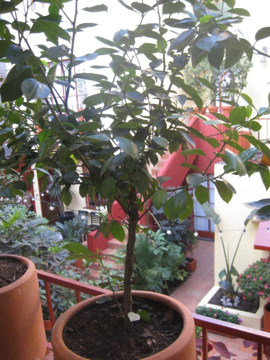 Ausblick vom Zimmer The Red Tree House Bed & Breakfast