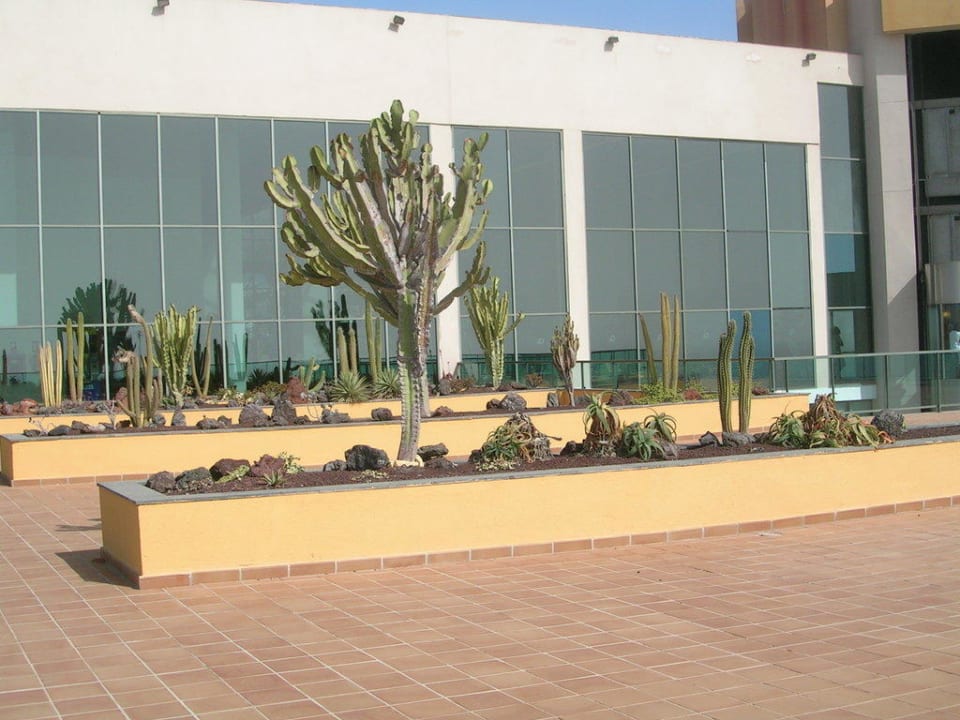 Lobby-Terrasse SBH Club Paraiso Playa