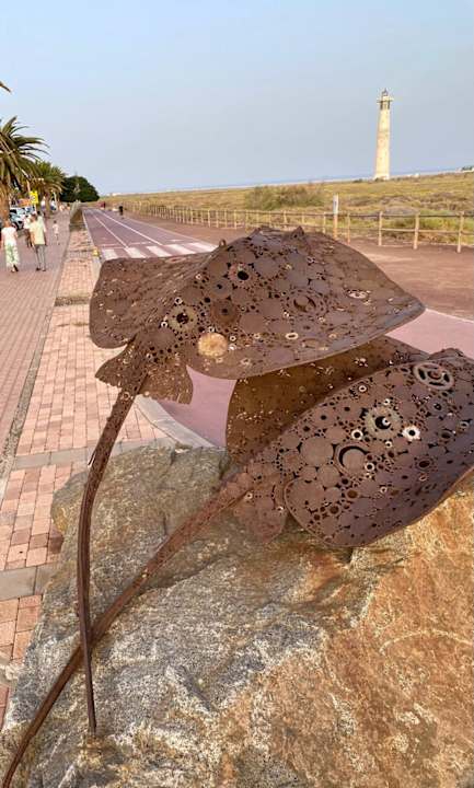 Sonstiges Iberostar Waves Gaviotas Park