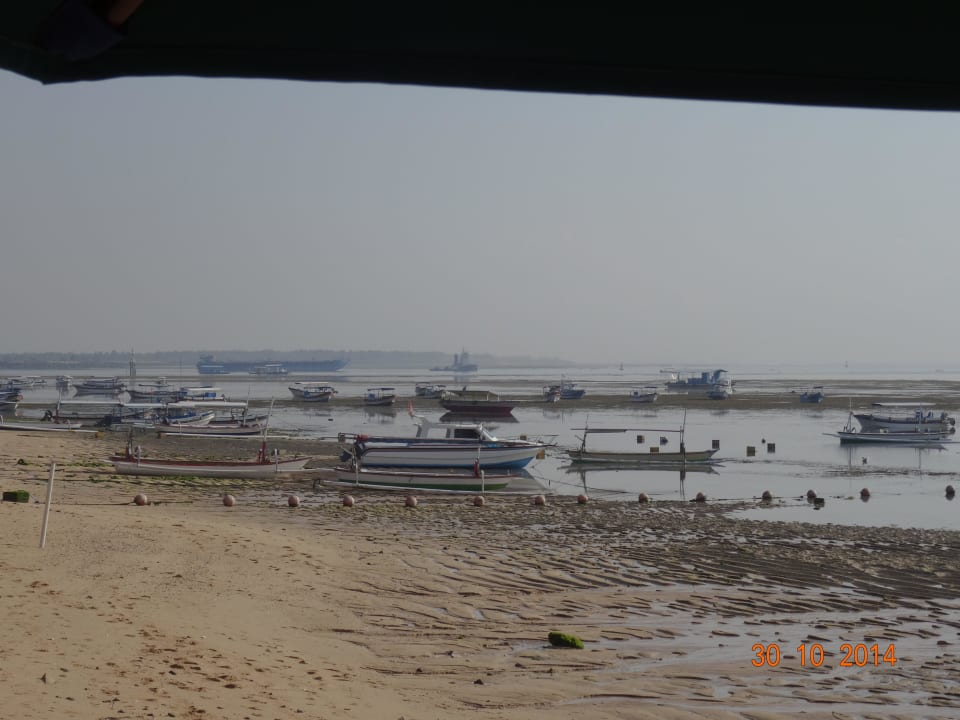 Ebbe Novotel Bali Benoa Hotel