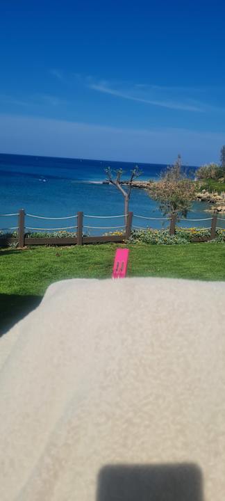 Gartenanlage Crystal Springs Beach Hotel