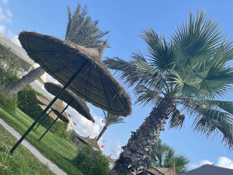 Gartenanlage Mahdia Beach & Aquapark