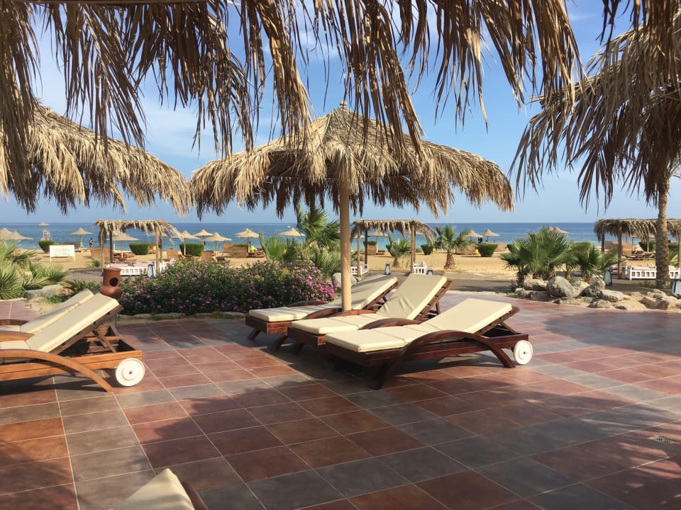 Ausblick Shams Alam Beach Resort