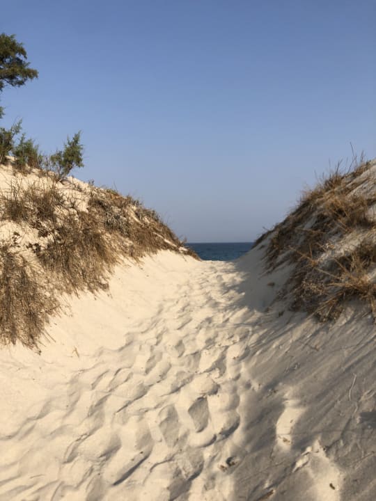 Strand Paralos Kyma Dunes