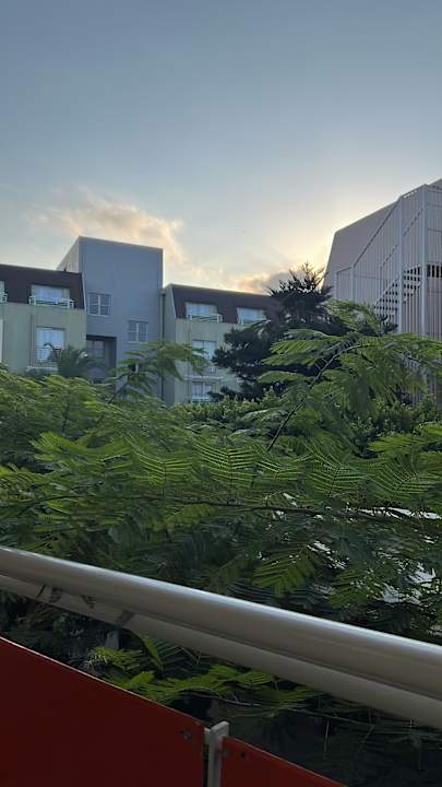 Zimmer AQI Pegasos World