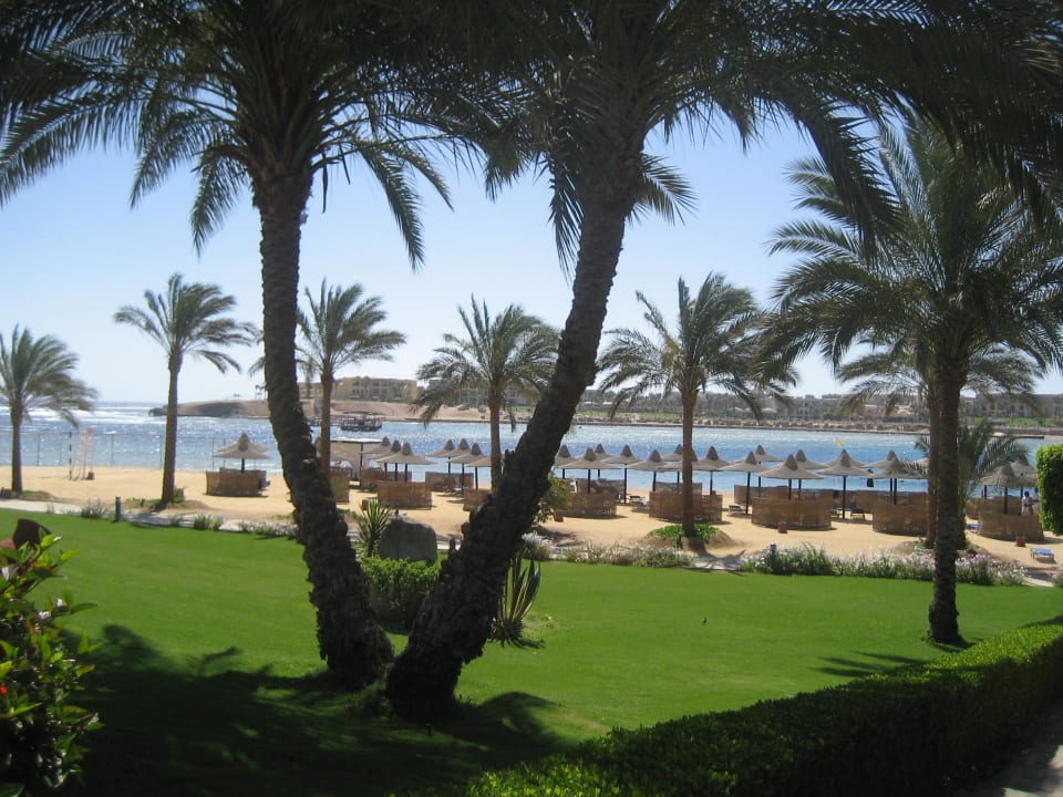 Anlage Steigenberger Coraya Beach - Adults only