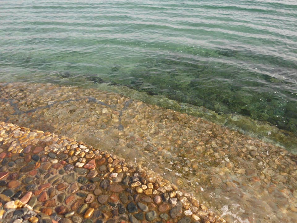 Schodki do morza Seagull Beach Resort