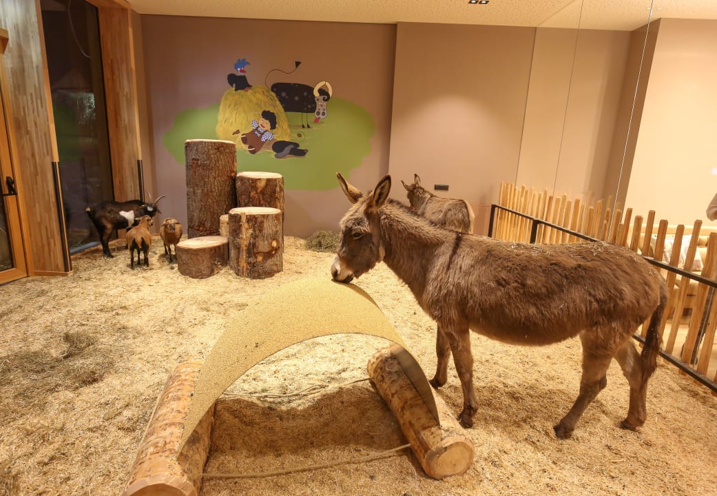 Sonstiges Dachsteinkönig - Familux Resort