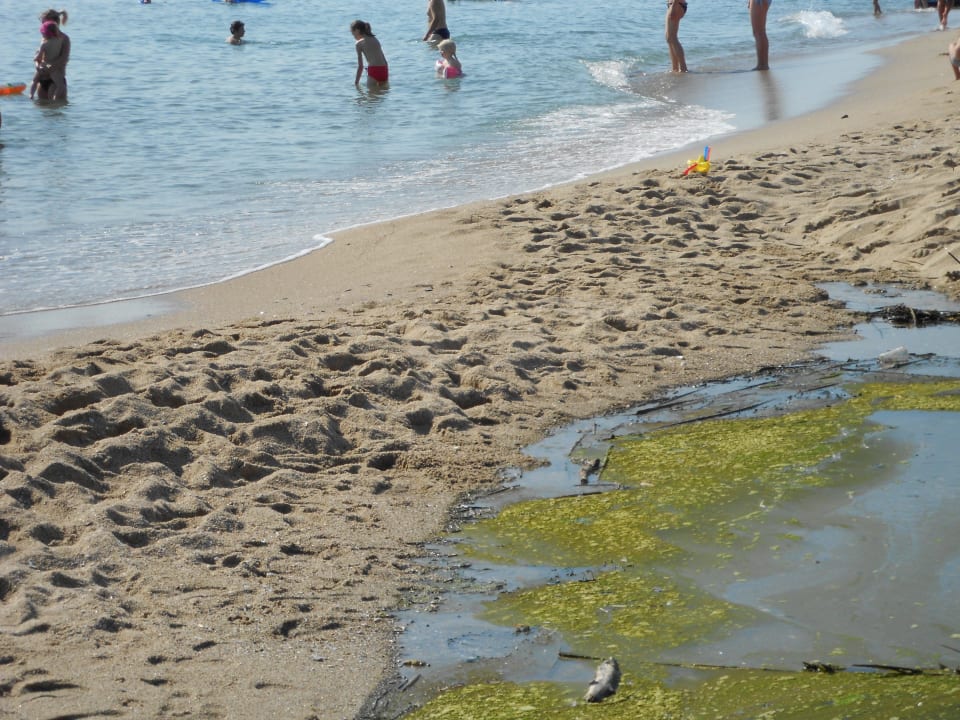 Strand Hotel Cazablanka / Casablanca