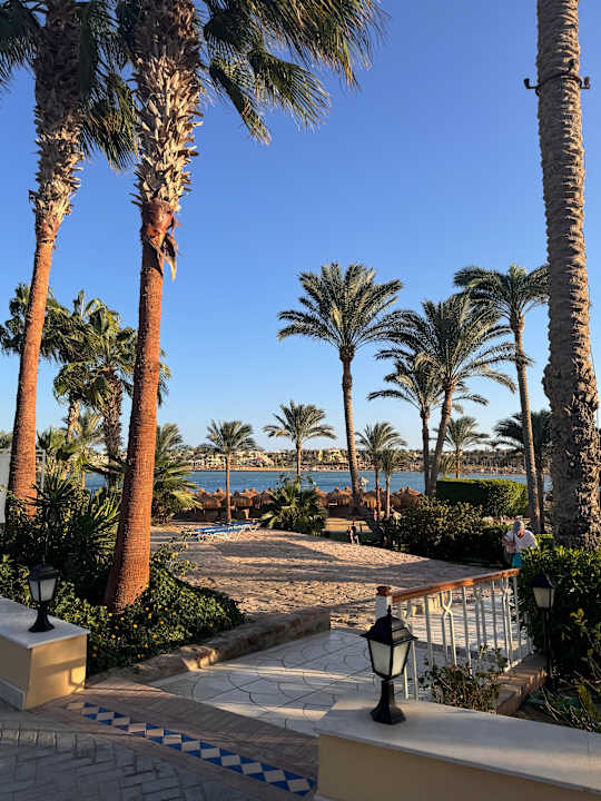 Gartenanlage Steigenberger Coraya Beach - Adults only