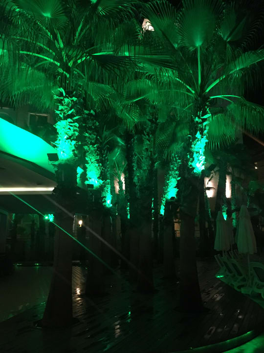 Gartenanlage Dizalya Palm Garden