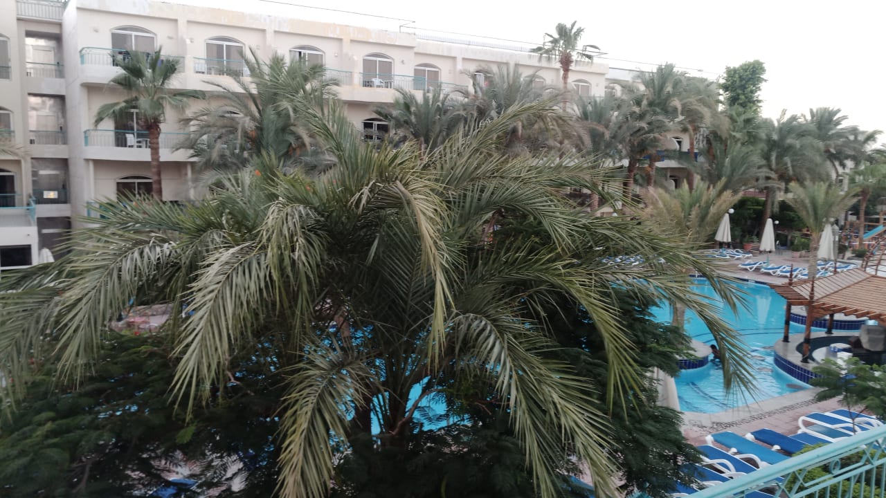 Pool Bella Vista Resort Hurghada