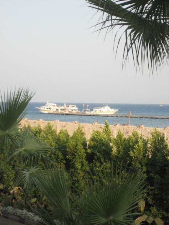 Blick vom Balkon  Pickalbatros Palace Resort