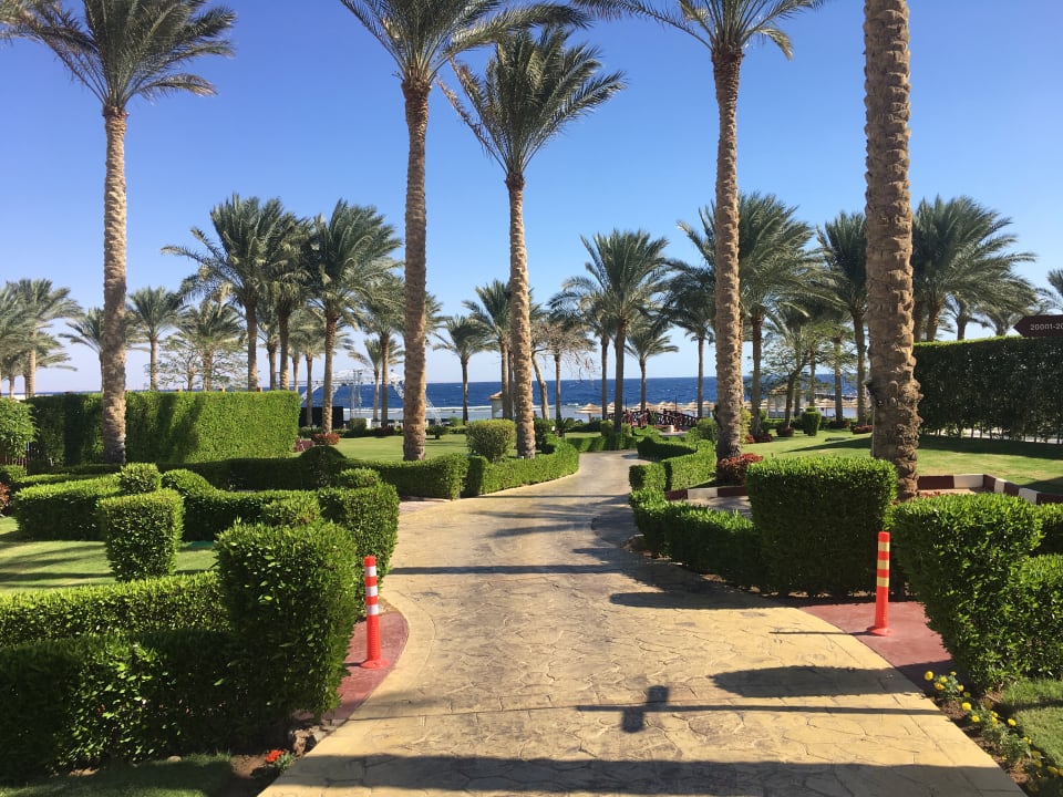 Gartenanlage Rixos Sharm El Sheikh Adults Only 18 +