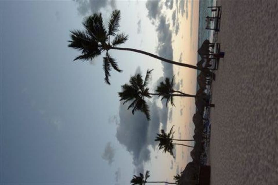 Sonnenaufgang Punta Cana Princess All Suites Resort & Spa