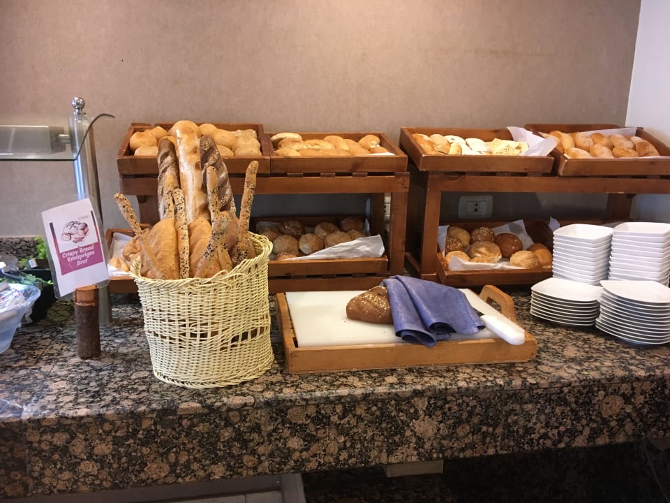 Gastro Shams Prestige Abu Soma-Adults Only