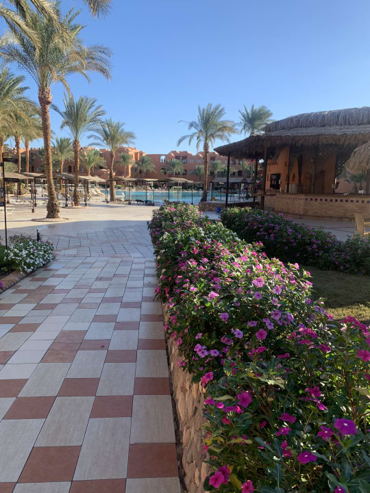 Gartenanlage Jaz Makadi Oasis Resort