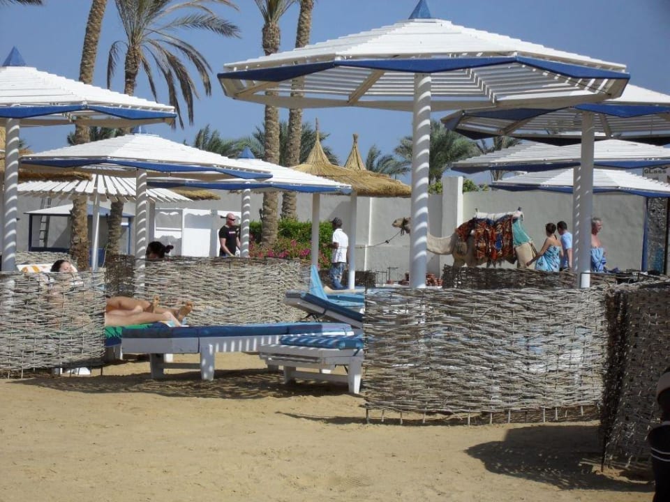 Liegen am Strand Pickalbatros Jungle Aqua Park Resort - Neverland Hurghada