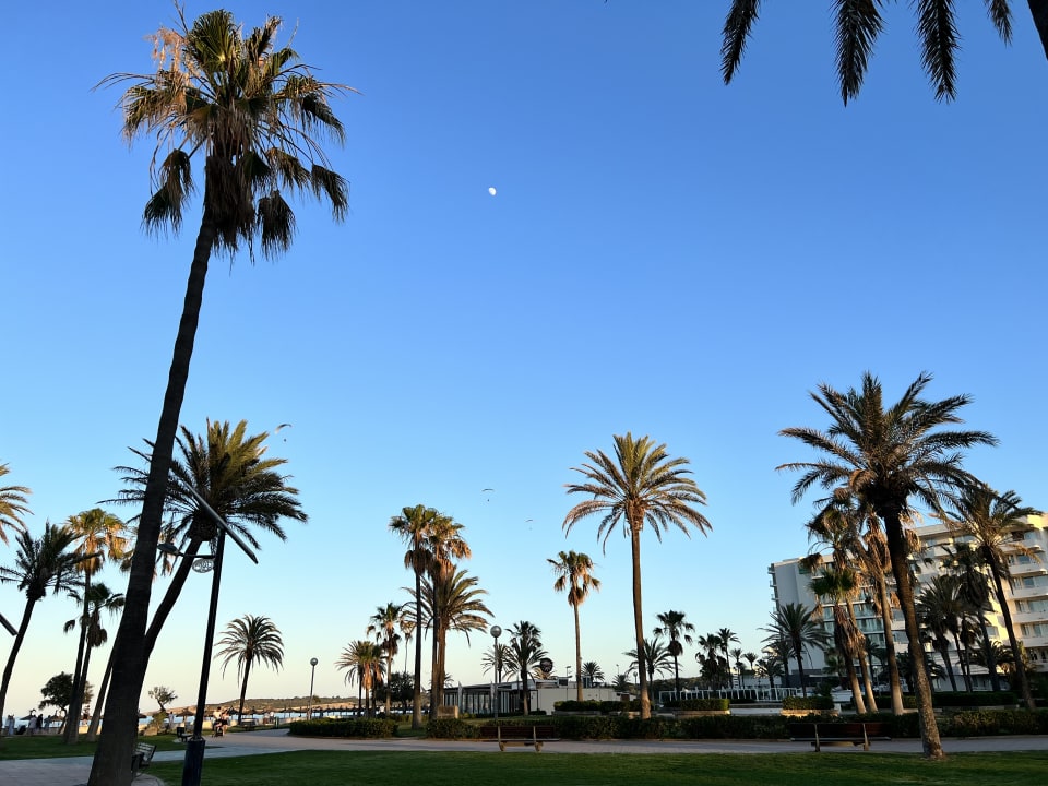 Ausblick R2 Veronica Beach Hotel