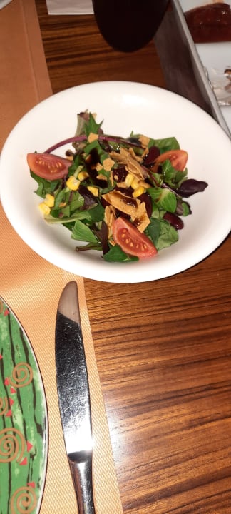 Gastro Adalya Elite Lara