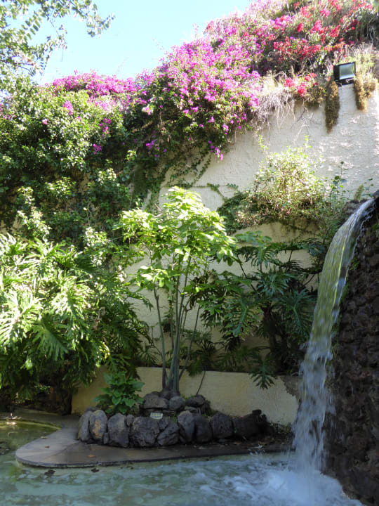 Gartenanlage BLUESEA Costa Jardin Spa