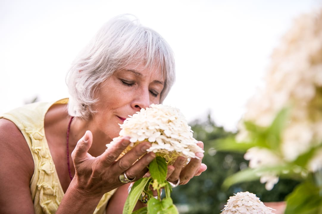Gartenanlage Spirit & SPA Hotel Birkenhof am Elfenhain