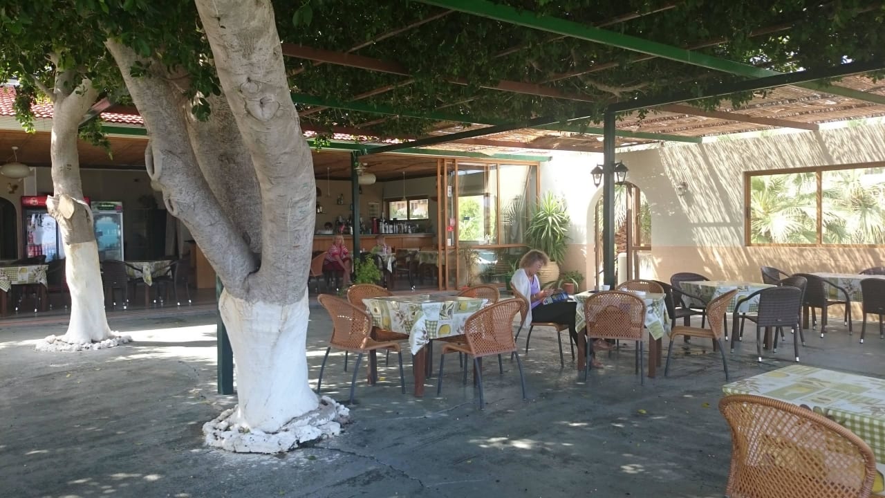 Terrasse hotel Viktoria  Pension Victoria