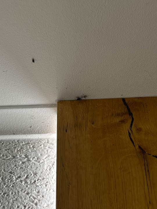 Zimmer Obermühle Alpin SPA Resort