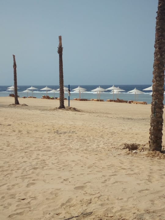 Strand Pickalbatros Sea World Resort - Marsa Alam