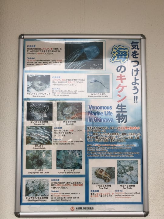 Sonstiges Sheraton Okinawa Sunmarina Resort