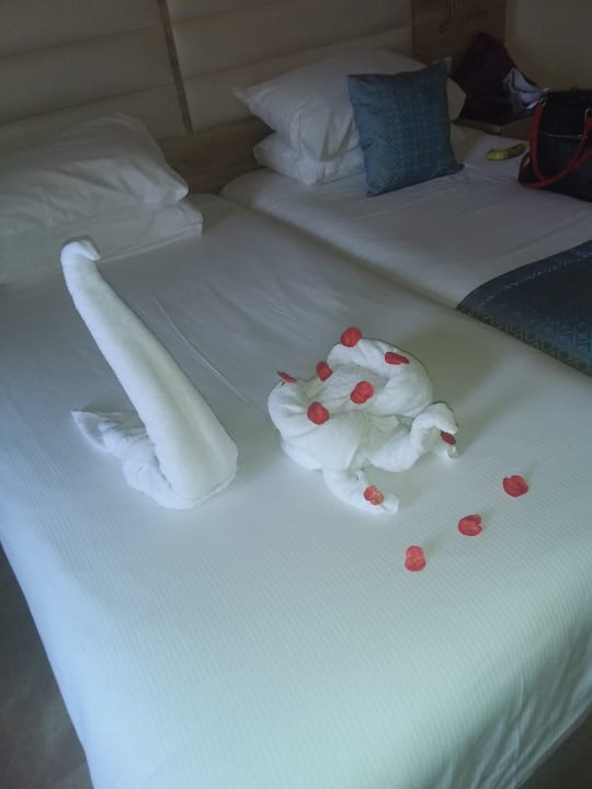 Zimmer Beach Albatros Resort