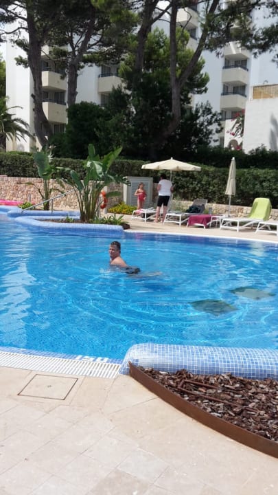 Pool Hipotels Bahía Cala Millor