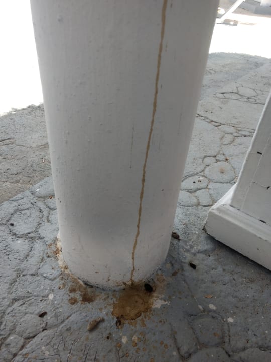 Pool Melia Las Dunas